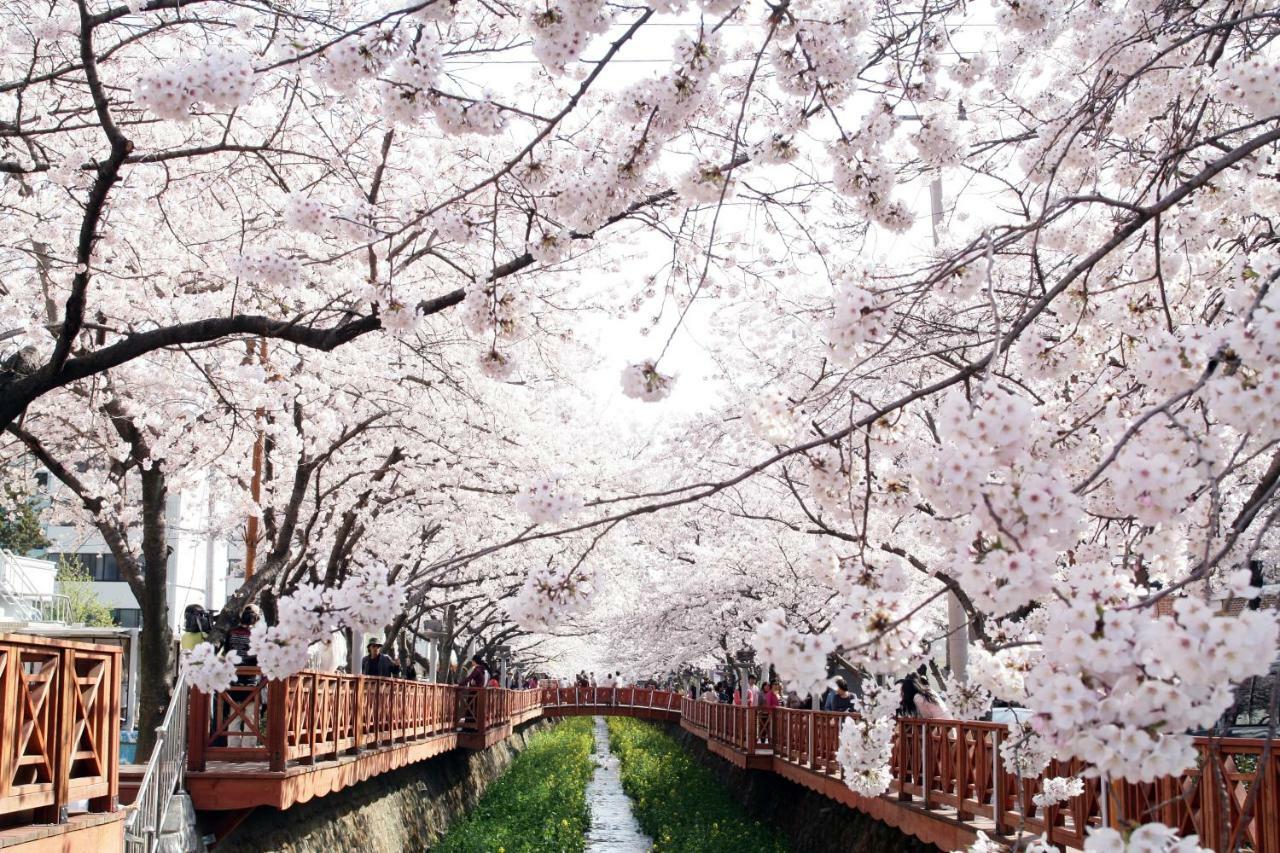 Hotel Avenue Changwon Esterno foto